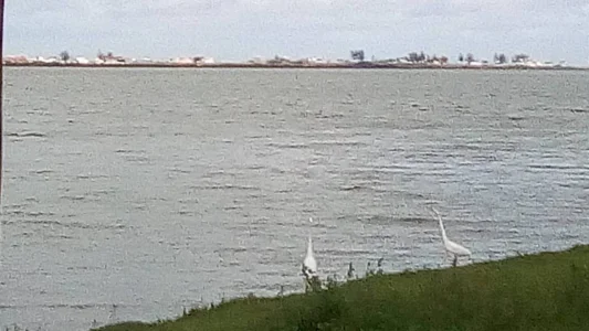 Vendo Terreno Jacaroa