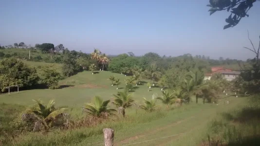 Lindo Sítio