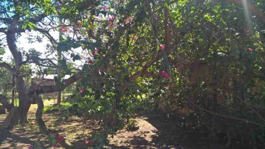Chácara Entre Rios Taboquinha