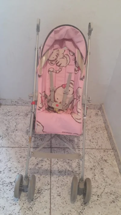 Carrinho de Passeio Reversível