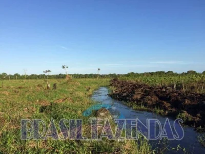 Fazenda em Canavieiras Ba. 105 Hectares