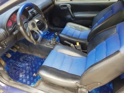 Tigra Azul 1999