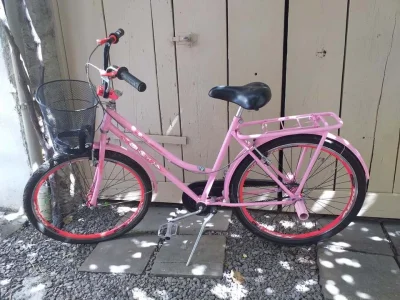 Bicicleta Feminina Rosa