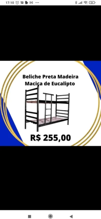 Beliche Madeira Maciça Eucalipto