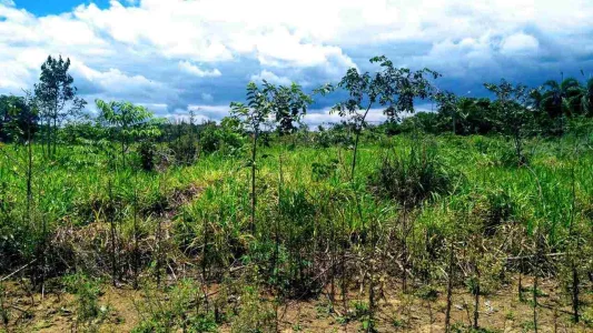 Lotes Próximo a Cachoeira da Martinha