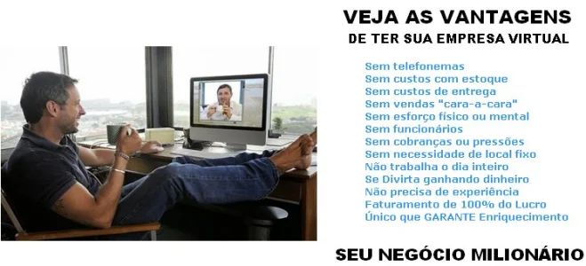 Seu Negócio Milionário