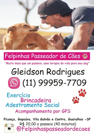 Felpinhas Passeador de Cães