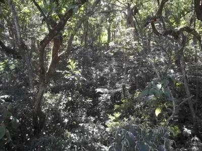 Lote 528 m2 Km 28 da Raposo Tavares