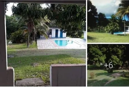 Temporada Carnaval 2019