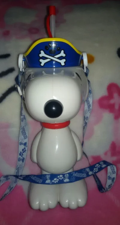Produtos da Disneylandia