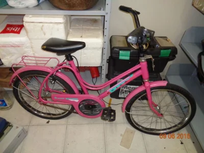 Bicicleta Brisa Relíquia