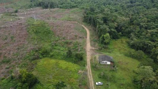 Vendo Chácara 5.000m2 Rio Capivari nos Fundo