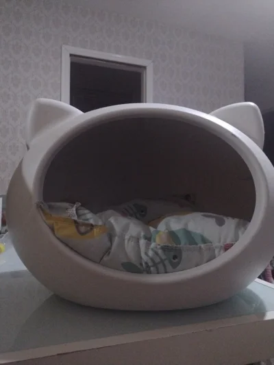 Casinha para Gato