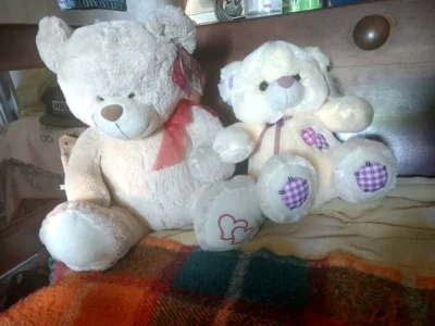 Ursos de Pelucia Lindos