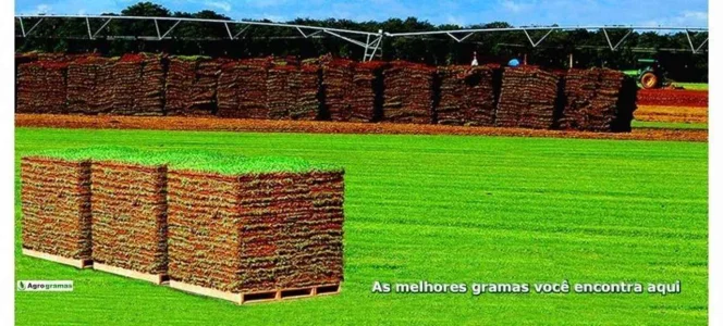 Agro Gramas