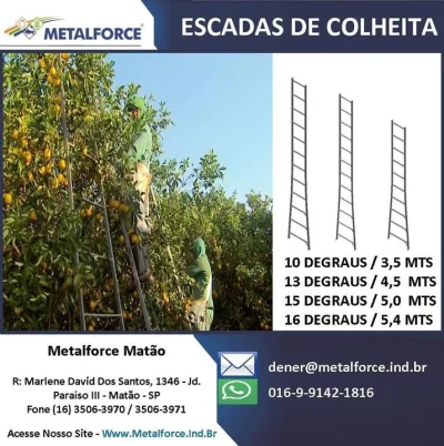 Escadas para Colheita de Laranja