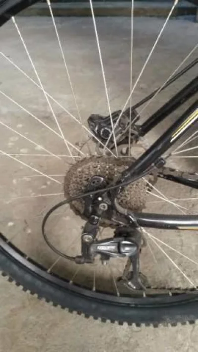 Bicicleta