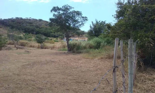 para Sítio Próximo do Centro e Praias