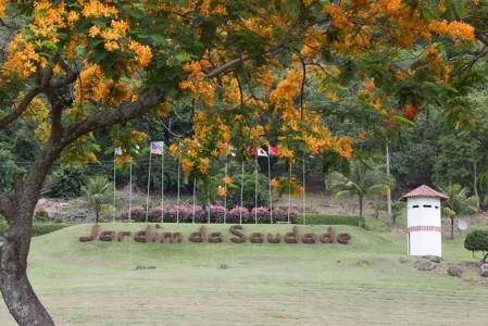 Jazigo Paciencia Jardim da Saudade