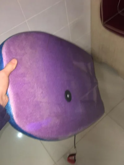 Prancha com Pouco Uso