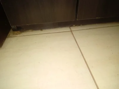 Armario Cozinha Madeira