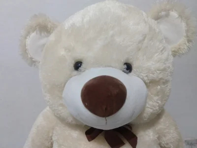 Urso Pelúcia Gigante