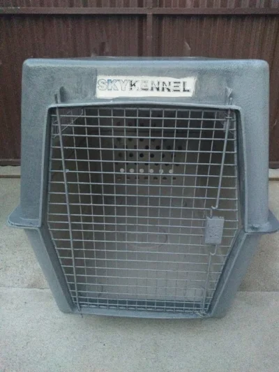 Casa para Transporte de Cães