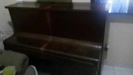 Piano F. Modstein Vertical e Acústico