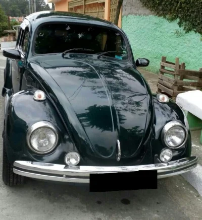 Volkswagen Fusca Verde 1994