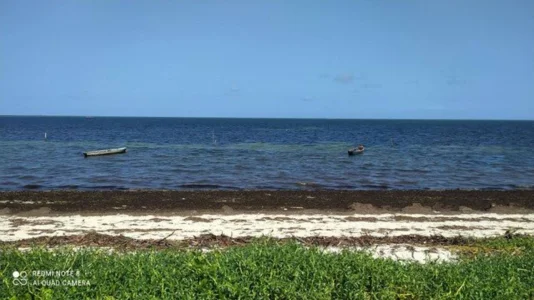 Vendo Terreno Praia de Catuama Goiana PE