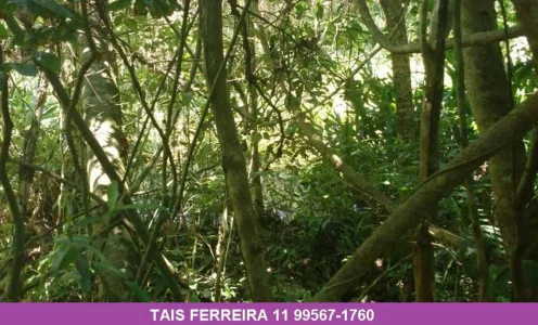 Terreno com 5000m2 Bairro Funil Santa Isabel