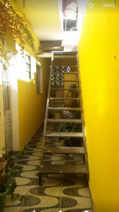 Terreno com 3 Casas Garagem e ótimo Ponto Pra Comércio