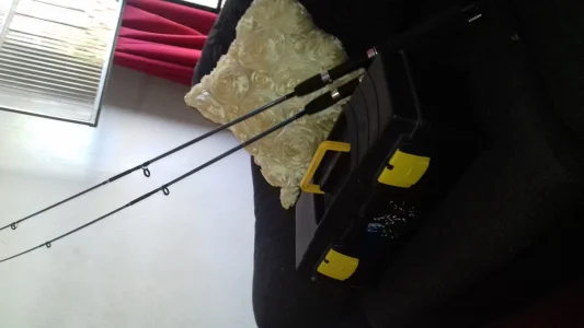 Vara de Pesca