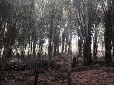 Terreno à Venda, 1000 m2 por RS 250.000,00 - Zona Rural - Iranduba-am