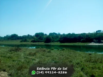 Lotes Incríveis em ótima Localização