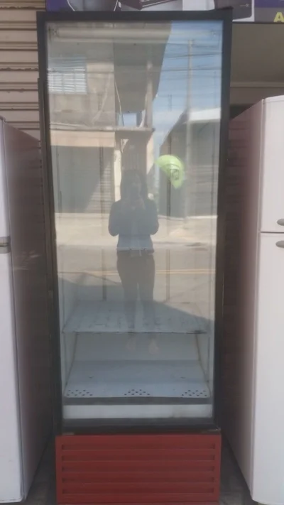 Geladeira Exppositora/110vts