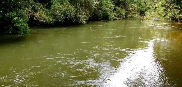 Chácaras na Beira do Rio dos Patos em Nova Mutum