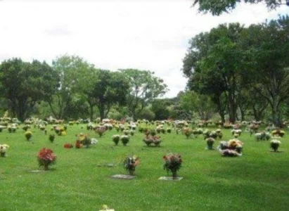 Terreno Vendo