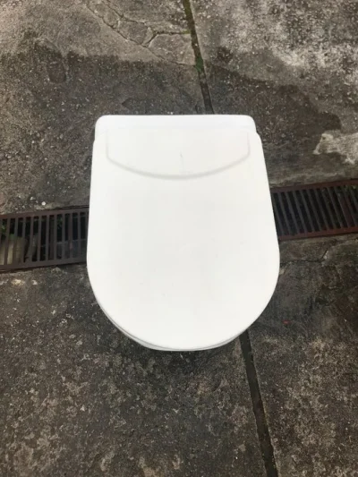 Vaso Sanitário Especial