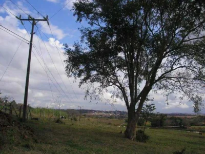 Terreno Rural