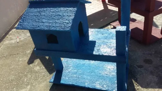 Casa de Gatos