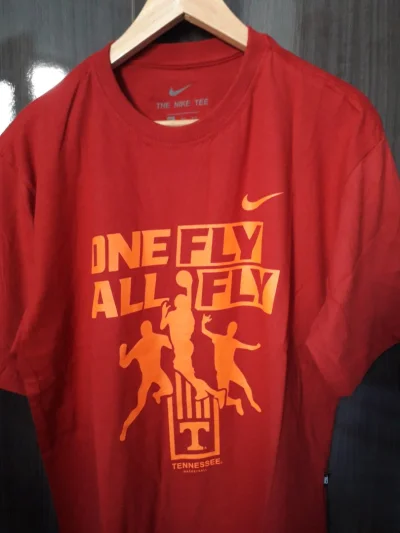 Camiseta Masculina Nike