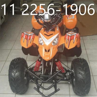 Quadriciclo Quadris 110cc Motor 4 Tempos