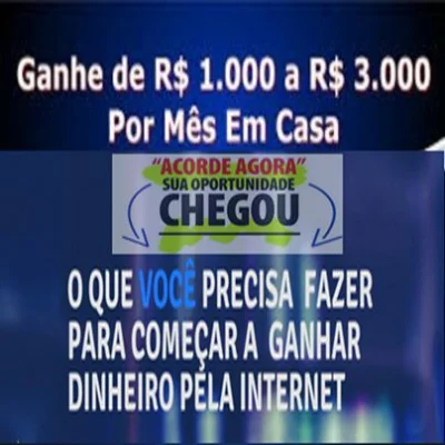 Seu Negócio Própio na Internet