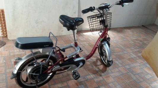 Bicicleta Elétrica Lev