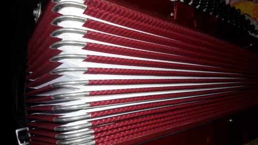 Vendo Acordeon Scandali