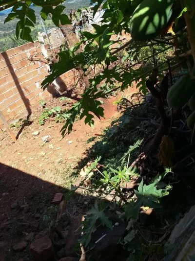 uma Execelente Area