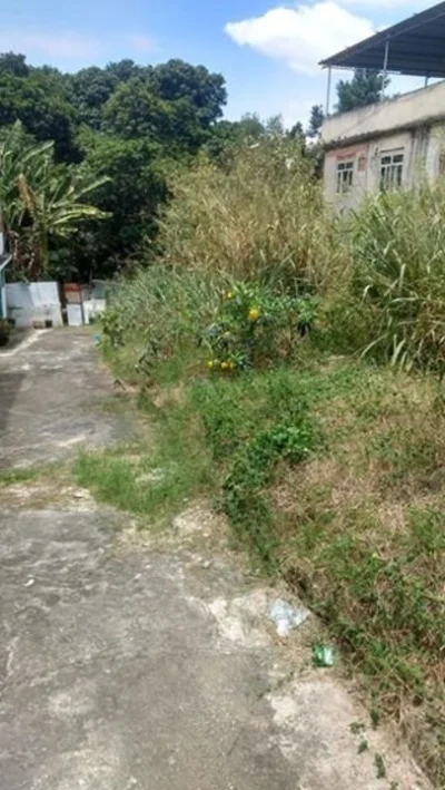 Lotes Vendo