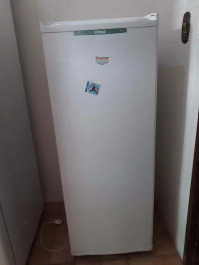 Freezer Vertical