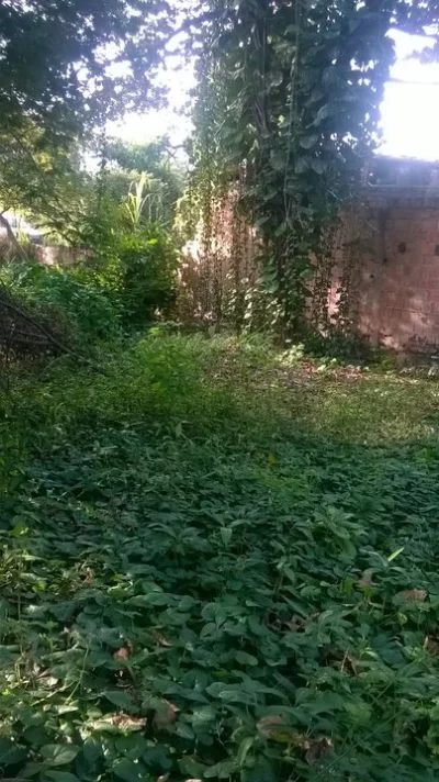 Vendo Terreno Barato